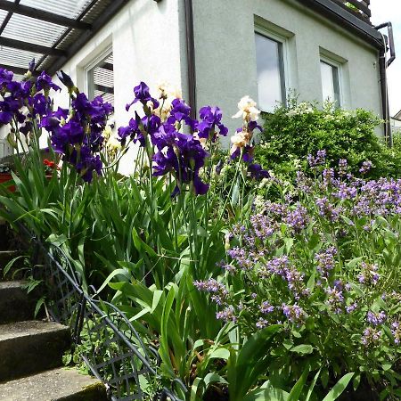 Fewo Batek Trechtingshausen Exteriör bild