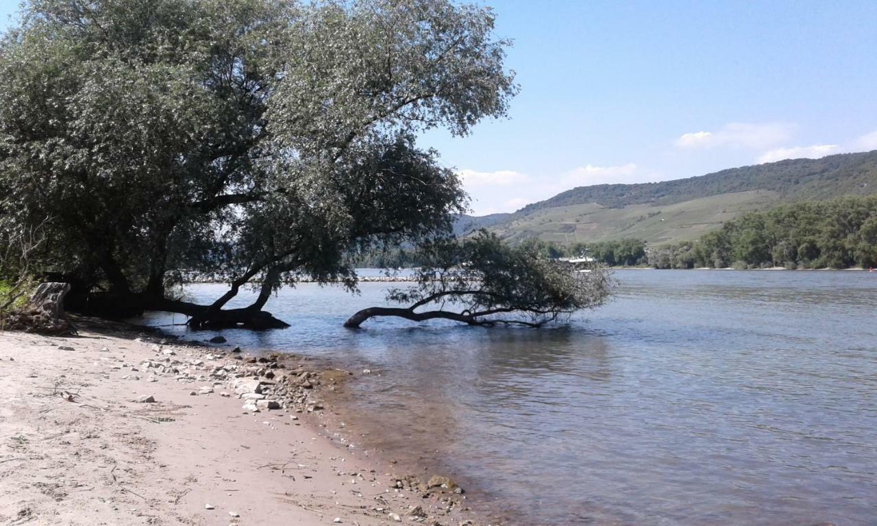 Fewo Batek Trechtingshausen Exteriör bild